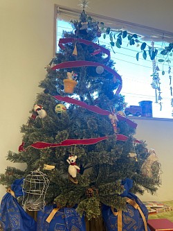 クリスマスツリーを飾りました