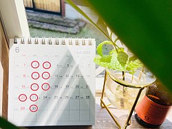 6月のお休みです、