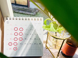6月のお休みです、緊急の時はお休みでも承ります、お電話ください。