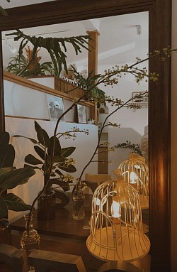 入口ディスプレイ