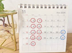 11月のお休み予定です、よろしくお願いします。