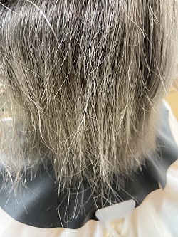 こめかみより下、セニングのみで毛量調整後、少しダメージによるうねりが出たようにも見え乱反射によるパサつきに見えます。